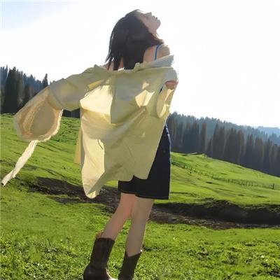 虎胆龙威之迷惘