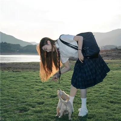 黑猩猩学院